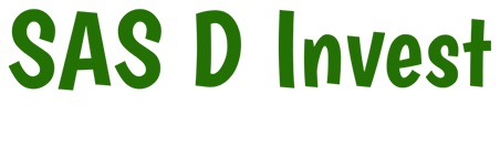 Logo SAS D Invest